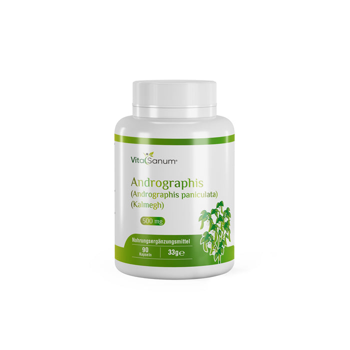 https://cdn.shopify.com/s/files/1/0915/8665/8688/files/Andrographis-front.jpg?v=1746265758 VitaSanum® - Andrographis (Andrographis paniculata) (Kalmegh) 500 mg 90 Kapseln