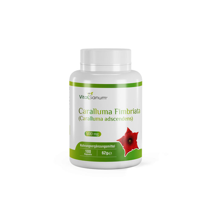 https://cdn.shopify.com/s/files/1/0915/8665/8688/files/Caralluma-Fimbriata-Front.jpg?v=1746265759 VitaSanum® - Caralluma Fimbriata (Caralluma adscendens) 500 mg 100 Kapseln
