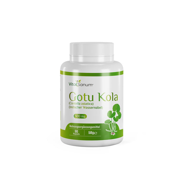 https://cdn.shopify.com/s/files/1/0915/8665/8688/files/Gotu-Kola-front_jpeg.jpg?v=1746265742 Gotu Kola front