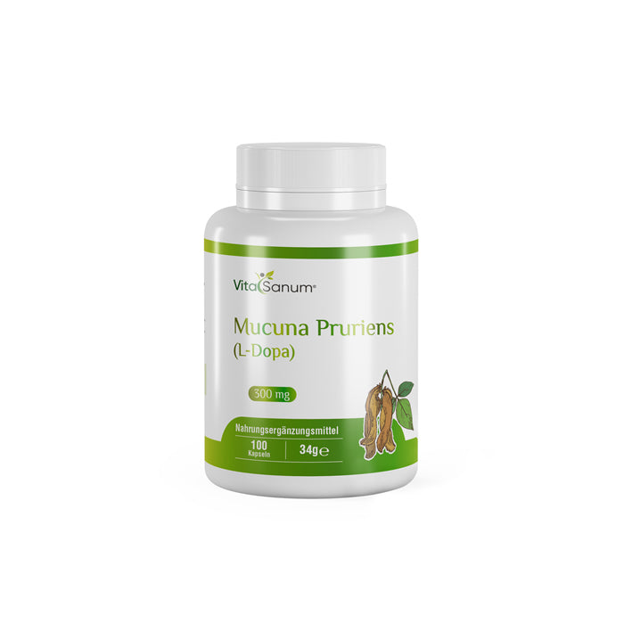 https://cdn.shopify.com/s/files/1/0915/8665/8688/files/Mucuna-Pruriens-front.jpg?v=1746265757 VitaSanum® - Mucuna Pruriens (L-Dopa) 300 mg 100 Kapseln