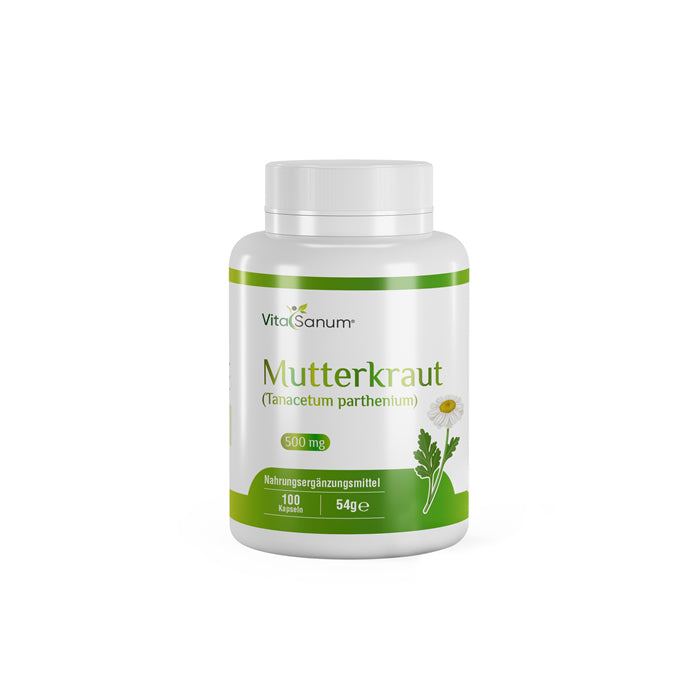 https://cdn.shopify.com/s/files/1/0915/8665/8688/files/Mutterkraut-front.jpg?v=1746265755 VitaSanum® - Mutterkraut (Tanacetum parthenium) 500 mg 100 Kapseln